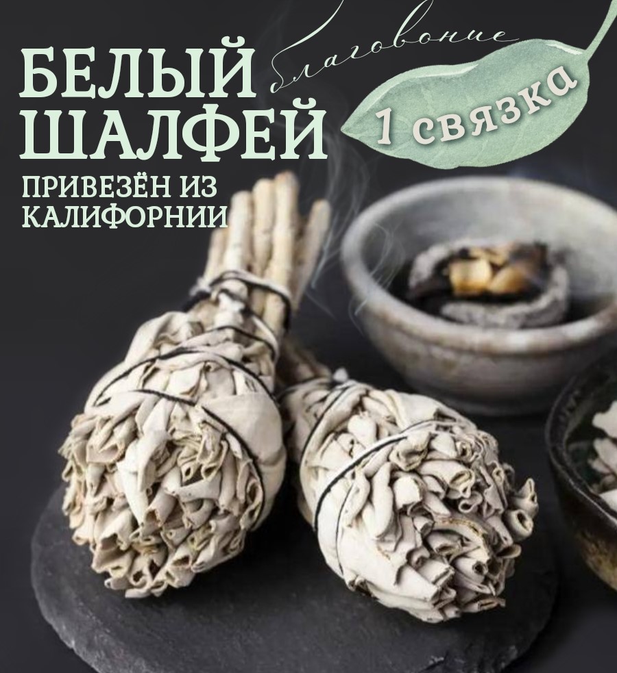 Белый Шалфей (White sage) 1 связка - купить, цена и фото в  интернет-магазине Маратика