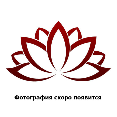 Тибетская подвеска из 5 камней сердолика высота 10см