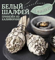 Белый Шалфей (White sage) 1 связка Белый Шалфей (White sage) 1 связка