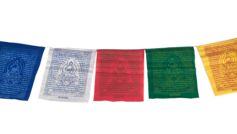 Флажки-лунгта Будда Медицины 10 флажков длина 2м 30см