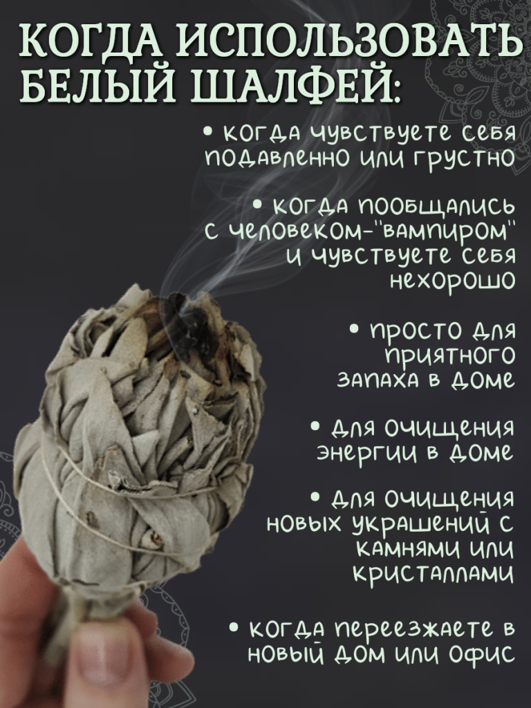 Белый Шалфей (White sage) 1 связка