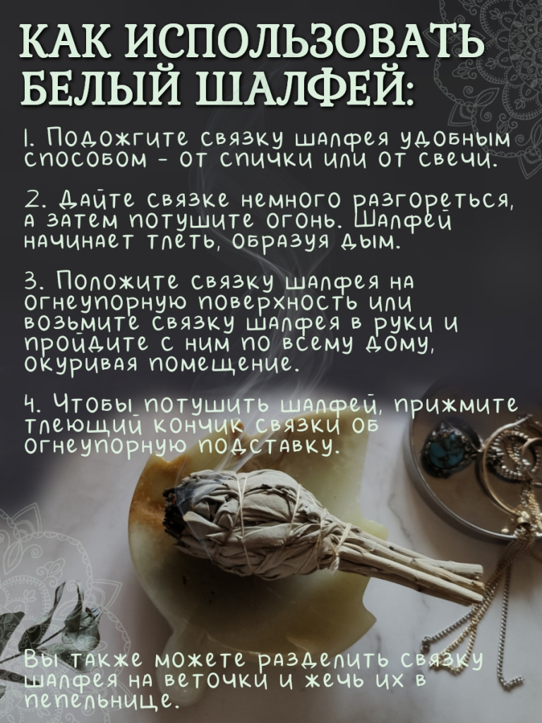 Белый Шалфей (White sage) 1 связка - купить, цена и фото в  интернет-магазине Маратика